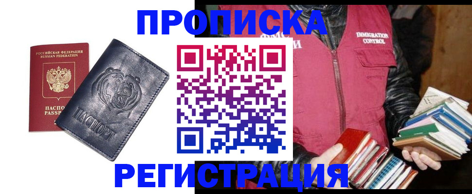 прописка поиск в Шадринске